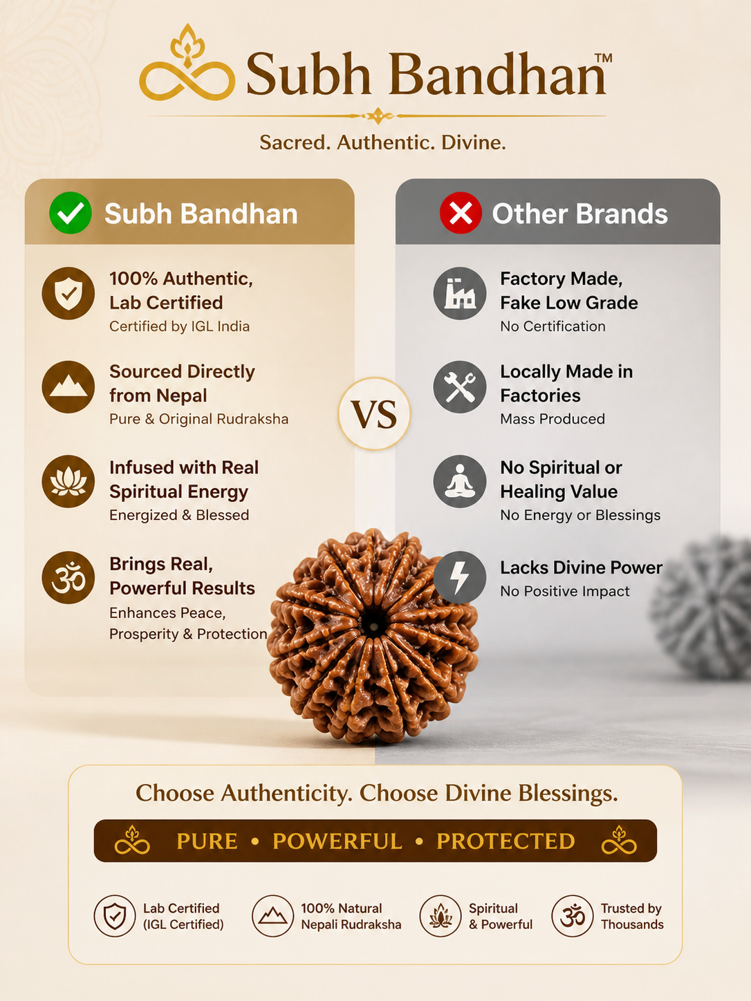 Divine Rudraksha Protection Bracelet (With free 5 mukhi rudraksha)
