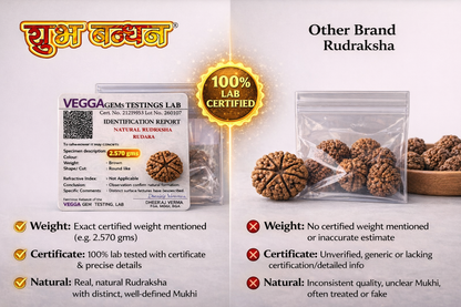 Original nepali 5 mukhi rudraksha with lab certificate