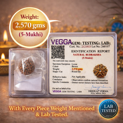 Original nepali 5 mukhi rudraksha with lab certificate