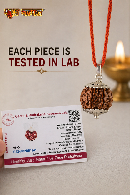 Original nepali 7 mukhi rudraksha locket (Lab certified)