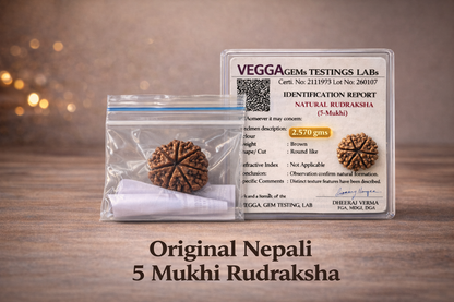 Original nepali 5 mukhi rudraksha with lab certificate