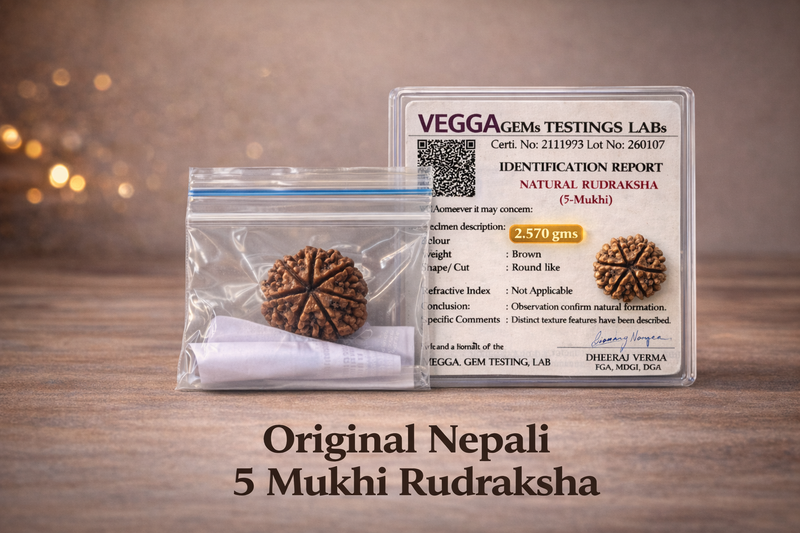 Original nepali 5 mukhi rudraksha with lab certificate