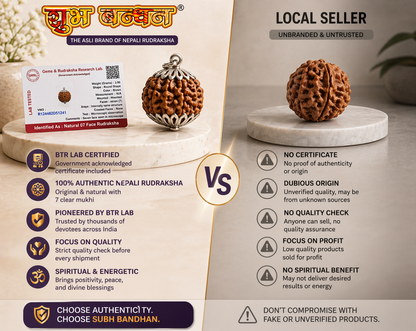 Original nepali 7 mukhi rudraksha locket (Lab certified)