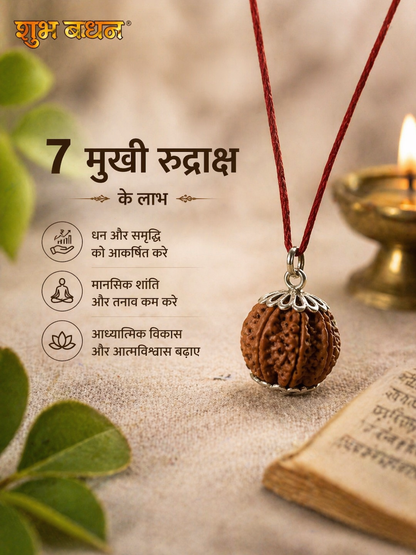 Original nepali 7 mukhi rudraksha locket (Lab certified)