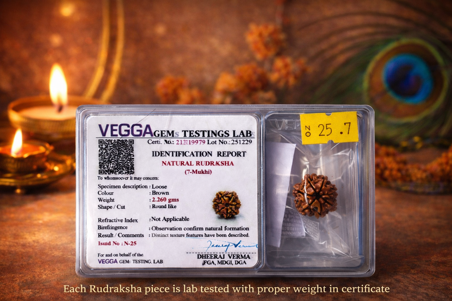 Original nepali 5 mukhi rudraksha with lab certificate