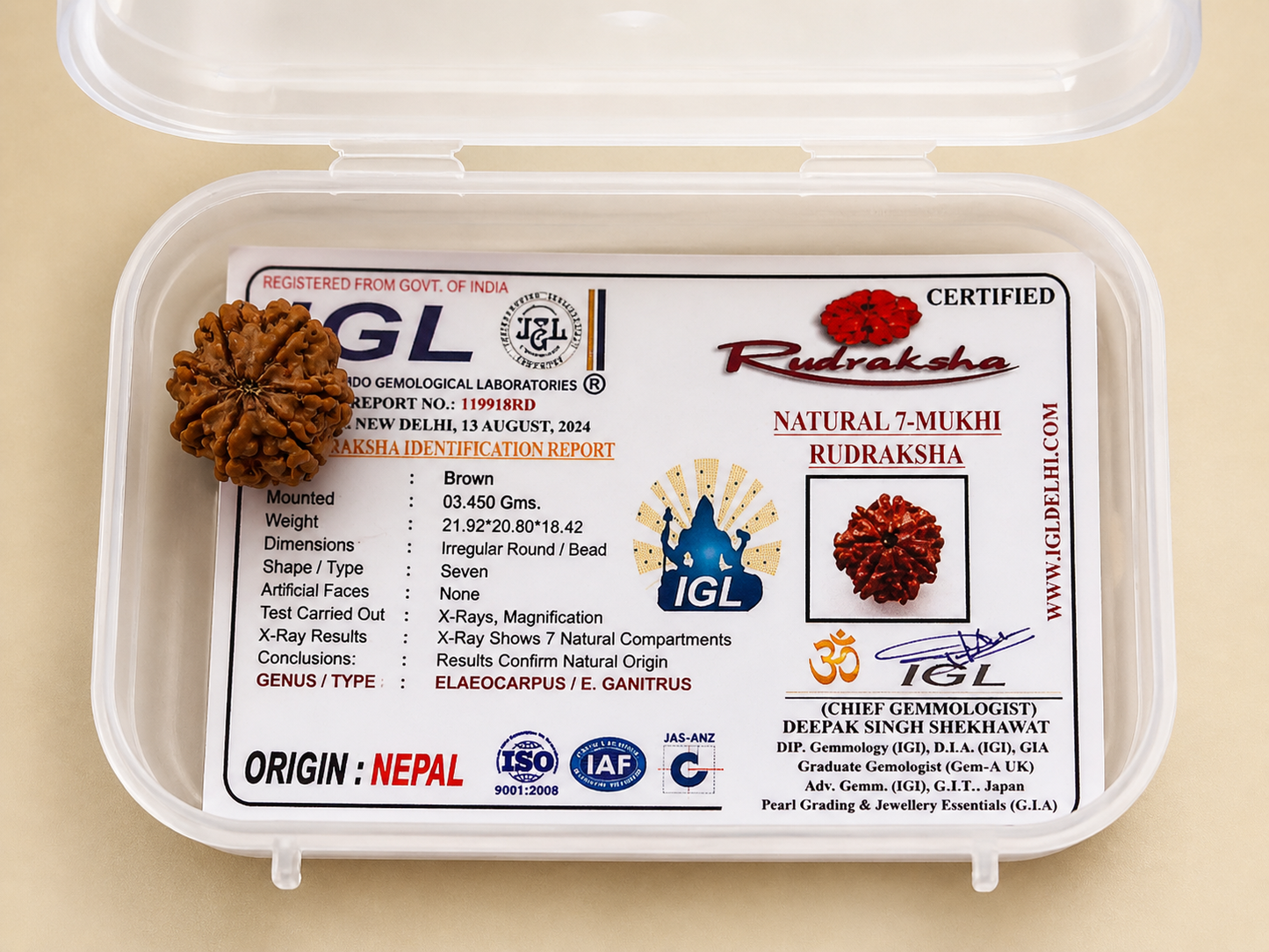 Original nepali 7 mukhi rudraksha with lab certificate