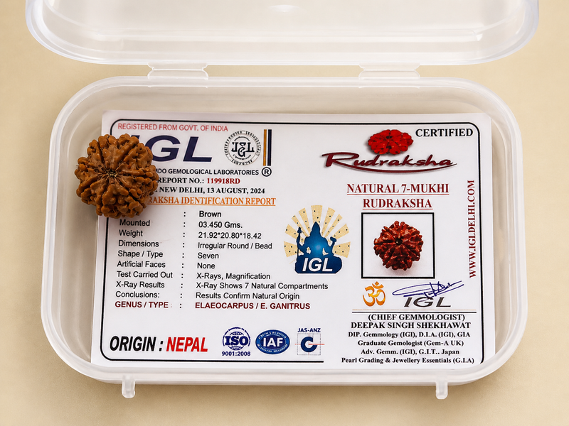 Original nepali 7 mukhi rudraksha with lab certificate