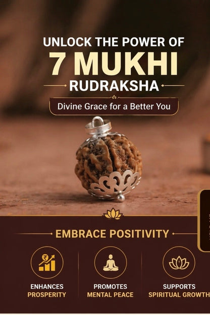Original nepali 7 mukhi rudraksha locket (Lab certified)