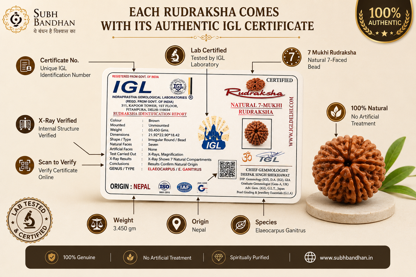 Original nepali 7 mukhi rudraksha with lab certificate